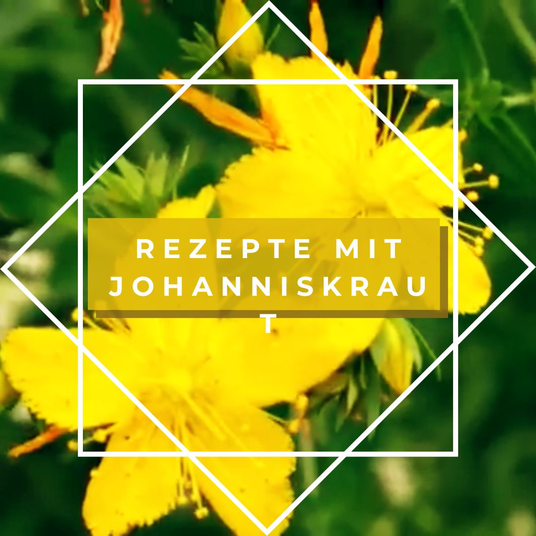 Rezepte mit Johanniskraut